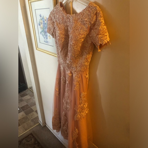 Hebeos Pale Pink Floral Lace Maxi Dress- 88A $90 or $80 w/offer - Picture 1 of 10